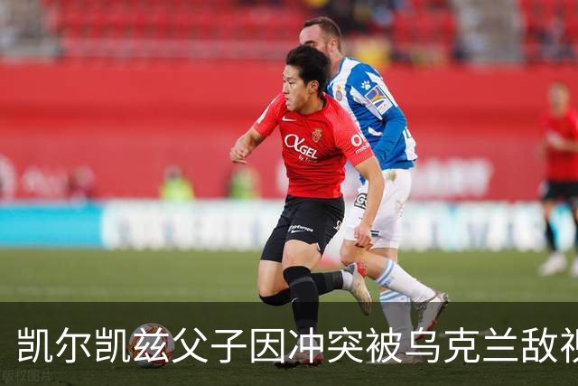 凯尔凯兹父子因冲突被乌克兰敌视，事件引发政治风波